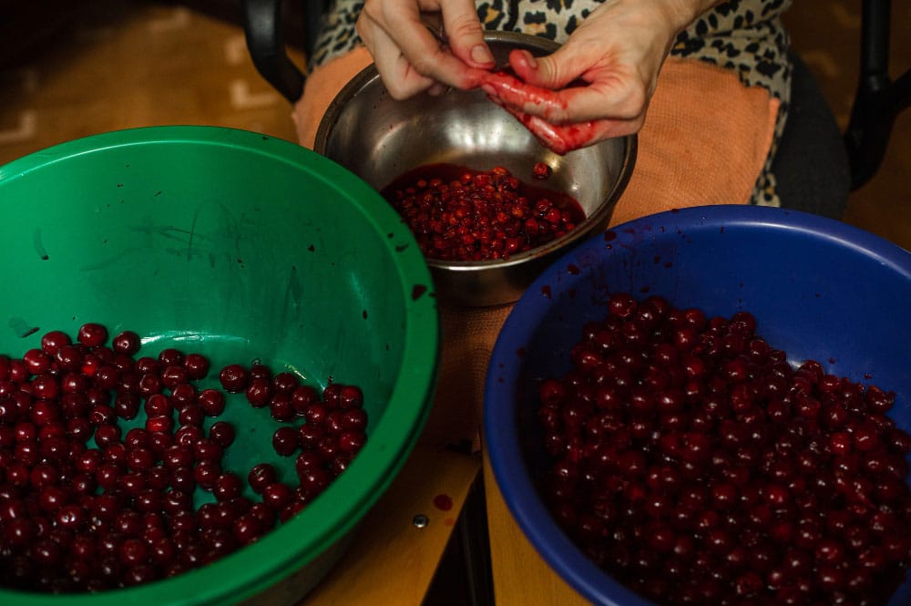 Crafting Cherry Wine: A Step-by-Step Guide