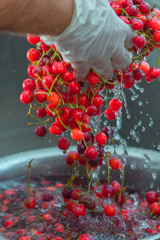 Crafting Cherry Wine: A Step-by-Step Guide